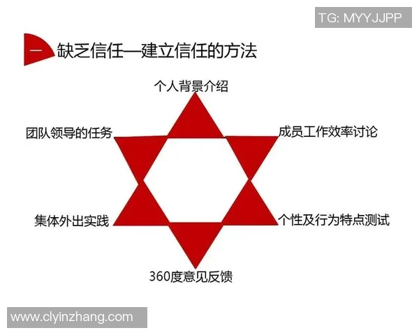 南京羽毛球队在世界锦标赛中的团队协作表现分析与点评