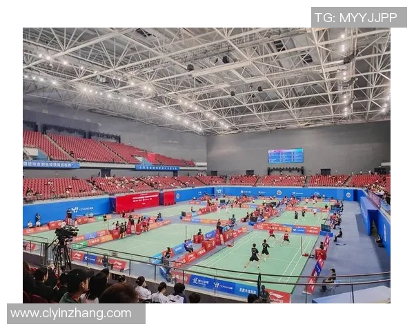 全运会回顾重庆羽毛球队意识表现分析与未来展望