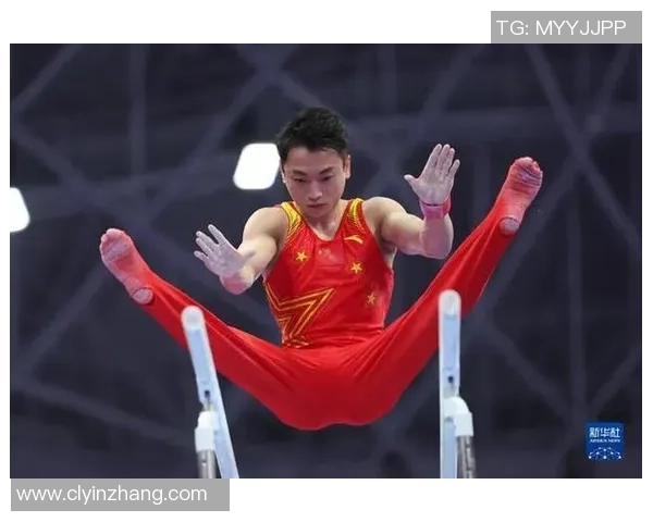 杭州排球队攻势变革揭秘打造全新进攻体系提升竞技水平